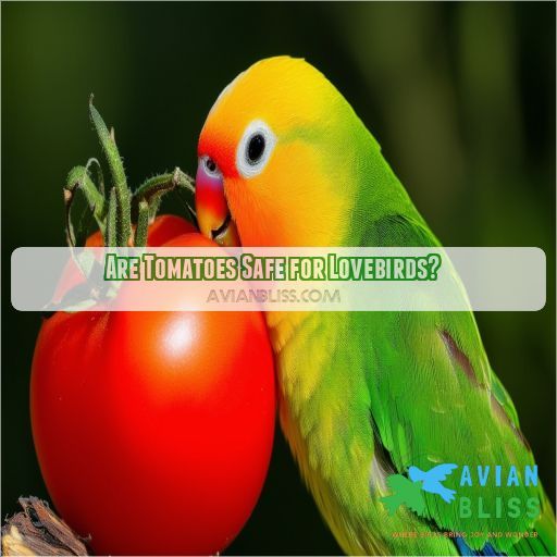 Are Tomatoes Safe for Lovebirds