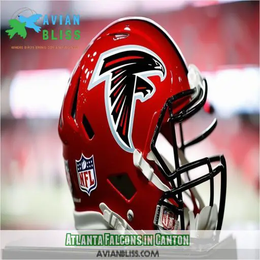 Atlanta Falcons in Canton