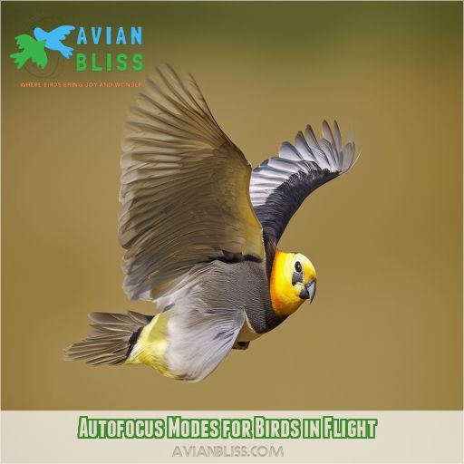 Autofocus Modes for Birds in Flight