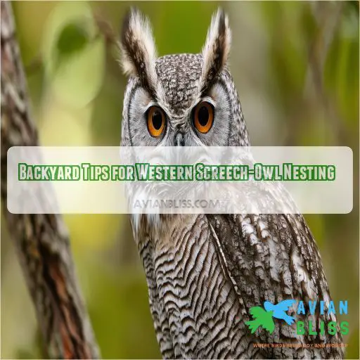 Backyard Tips for Western Screech-Owl Nesting