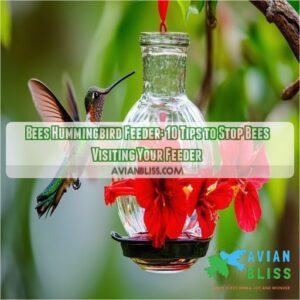 bees hummingbird feeder