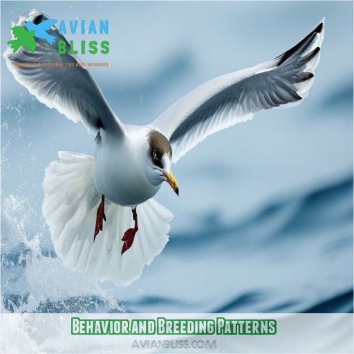 Behavior and Breeding Patterns