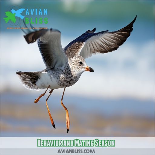 Behavior and Mating Season