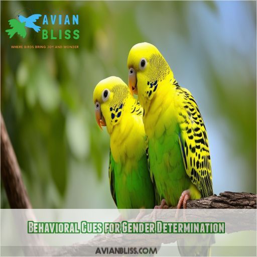 Behavioral Cues for Gender Determination