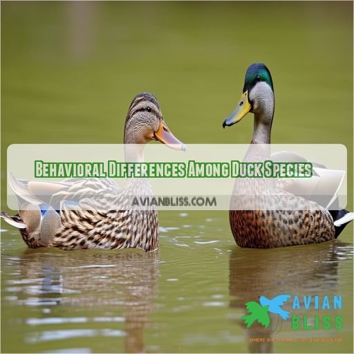 Behavioral Differences Among Duck Species