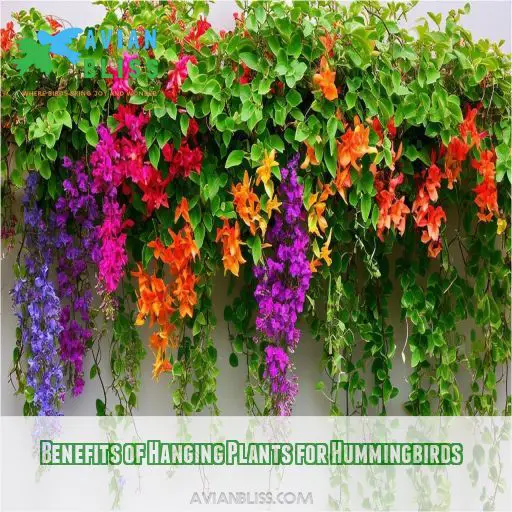 Benefits of Hanging Plants for Hummingbirds