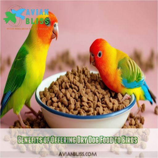 Benefits of Offering Dry Dog Food to Birds