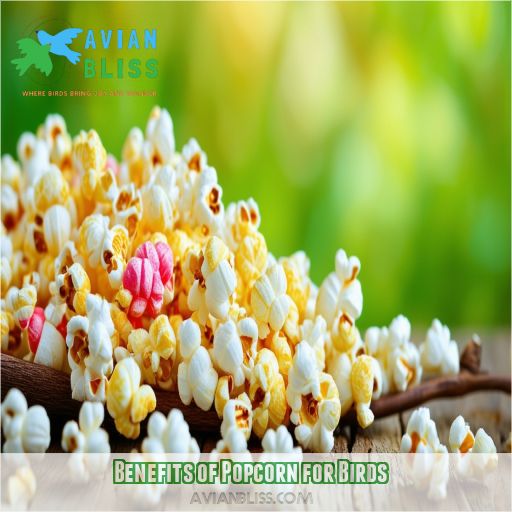 Benefits of Popcorn for Birds