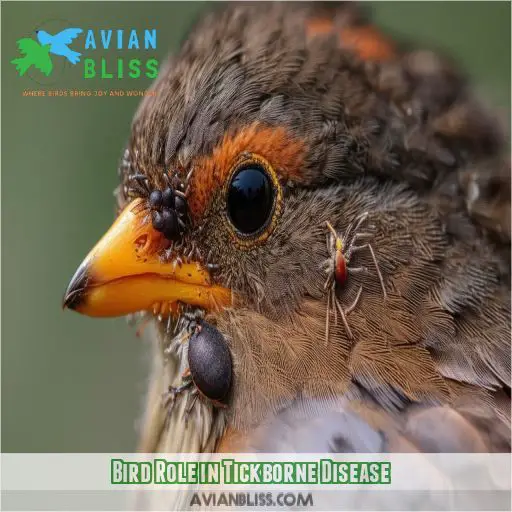 Bird Role in Tickborne Disease