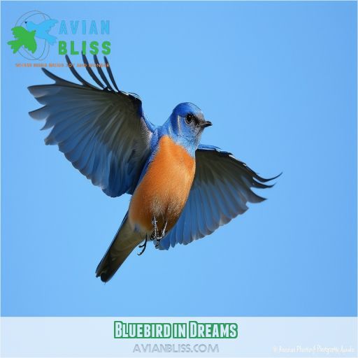 Bluebird in Dreams