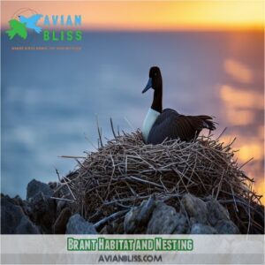 Brant: The Sea Goose's Secrets Revealed! Dive Into Their Fascinating World