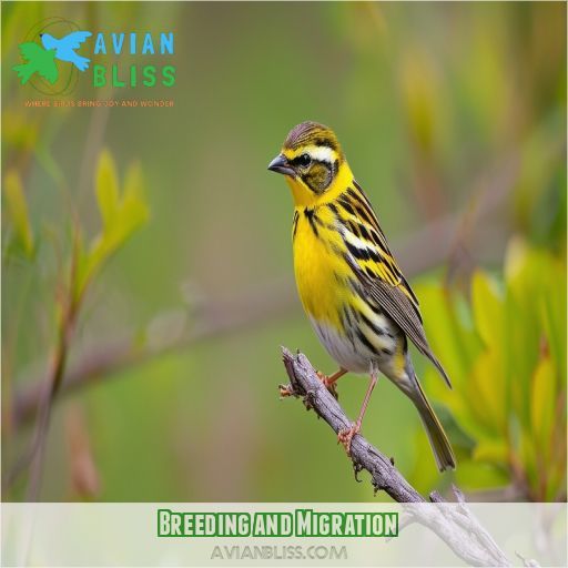 Breeding and Migration