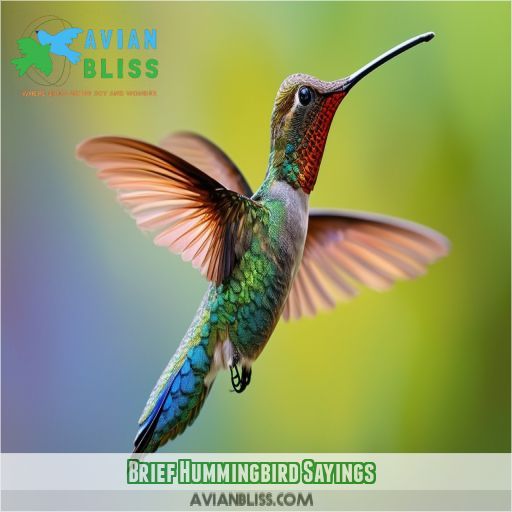 Brief Hummingbird Sayings