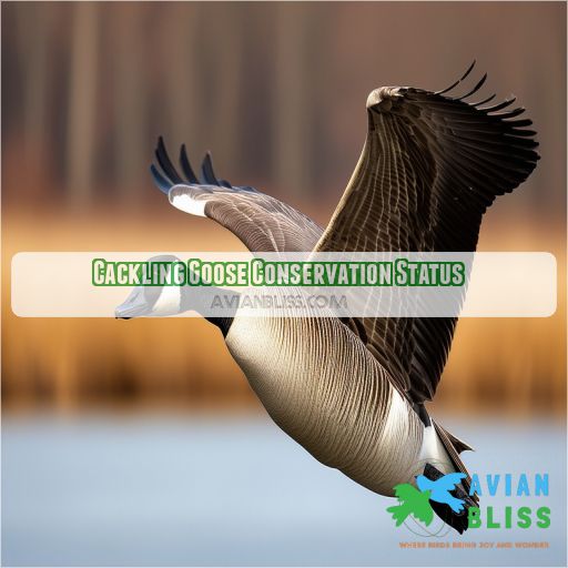 Cackling Goose Conservation Status