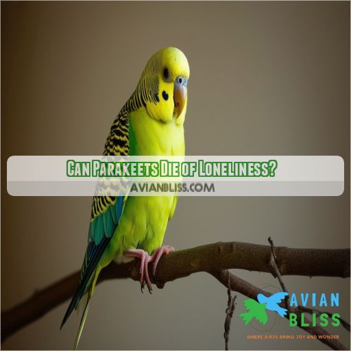Can Parakeets Die of Loneliness