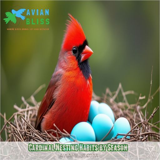 Cardinal Nesting Habits by Season