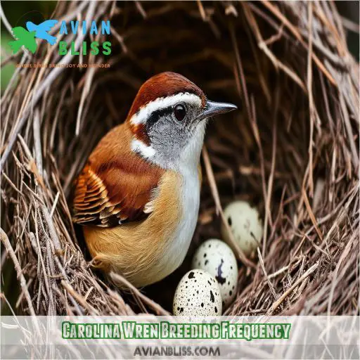 Carolina Wren Breeding Frequency