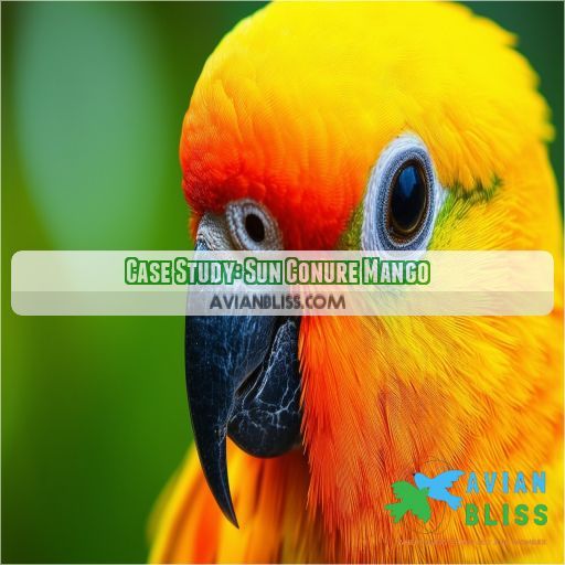 Case Study: Sun Conure Mango