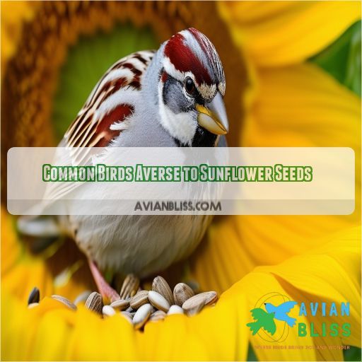 Common Birds Averse to Sunflower Seeds