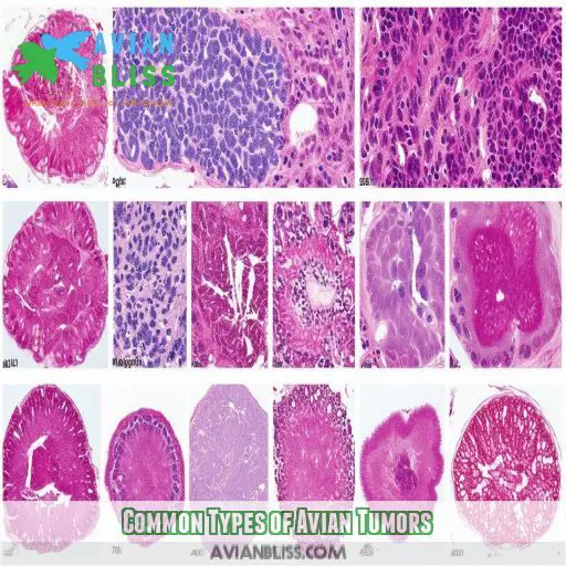 Common Types of Avian Tumors