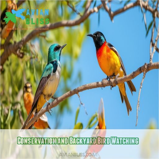 Conservation and Backyard Bird Watching