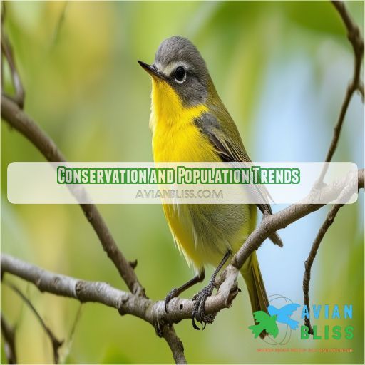 Conservation and Population Trends