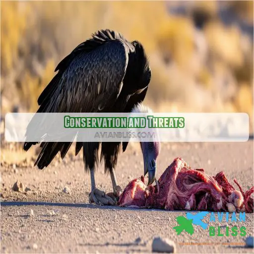 Conservation and Threats