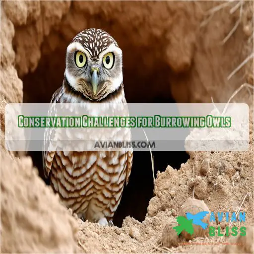 Conservation Challenges for Burrowing Owls