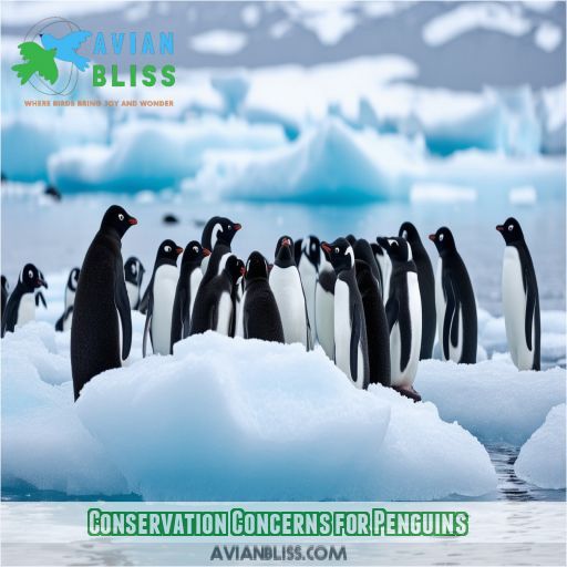 Conservation Concerns for Penguins