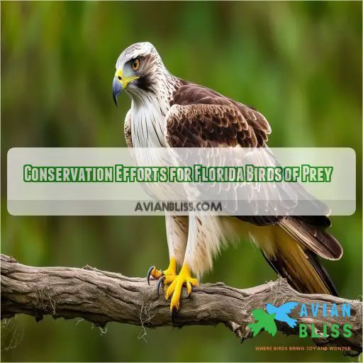 Conservation Efforts for Florida Birds of Prey