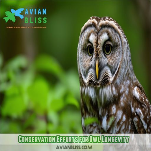 Conservation Efforts for Owl Longevity