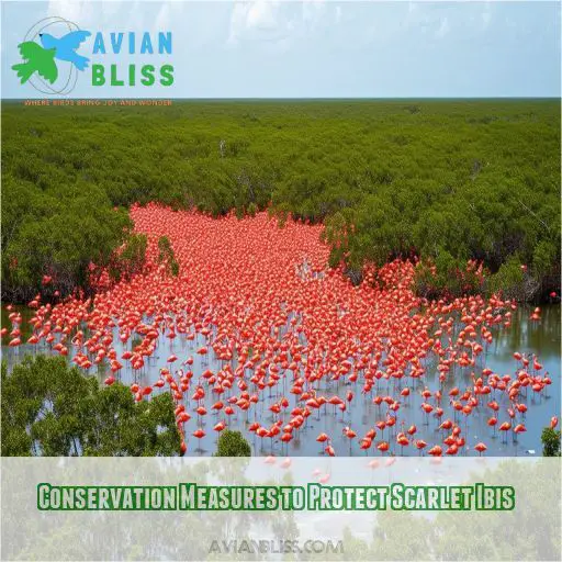 Conservation Measures to Protect Scarlet Ibis