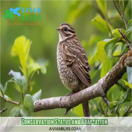 Conservation Status and Adaptation