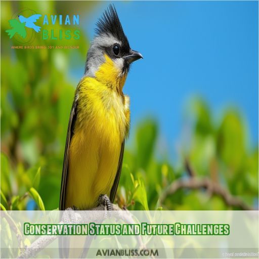 Conservation Status and Future Challenges