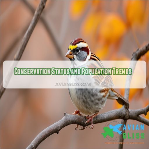 Conservation Status and Population Trends