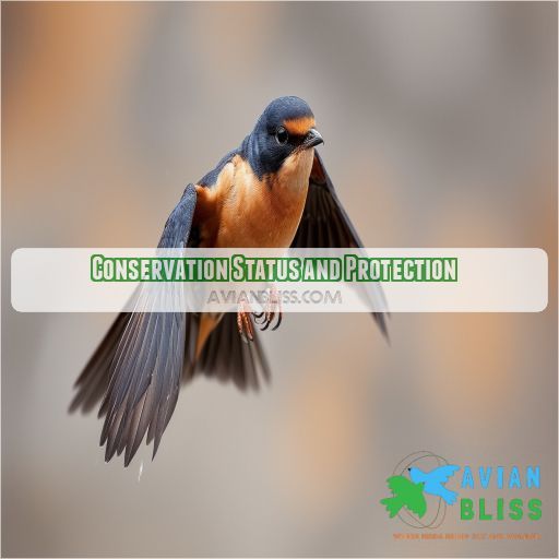 Conservation Status and Protection