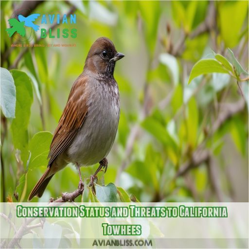 Conservation Status and Threats to California Towhees