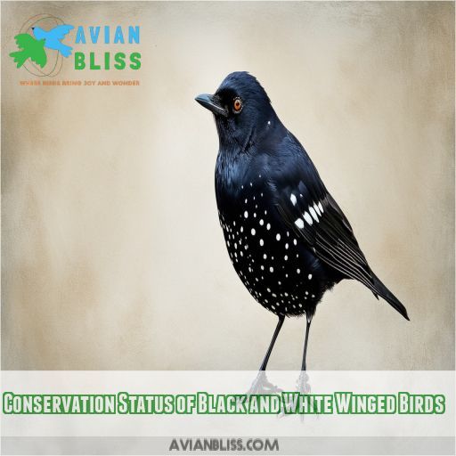 Conservation Status of Black and White Winged Birds