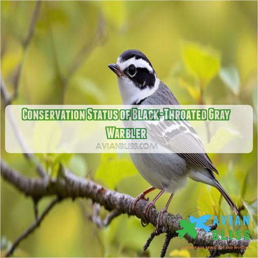 Conservation Status of Black-Throated Gray Warbler