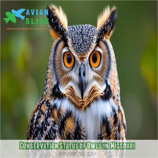 Conservation Status of Owls in Missouri