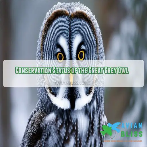 Conservation Status of the Great Grey Owl