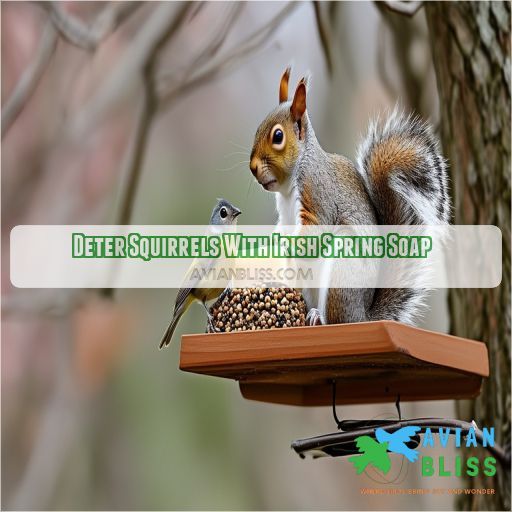 Deter Squirrels With Irish Spring Soap