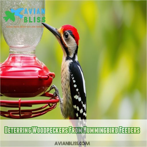 Deterring Woodpeckers From Hummingbird Feeders