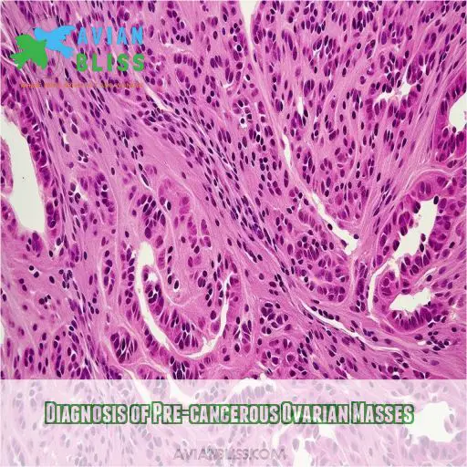 Diagnosis of Pre-cancerous Ovarian Masses