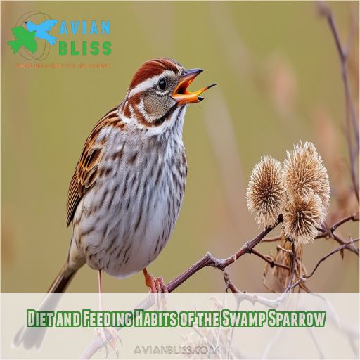 Diet and Feeding Habits of the Swamp Sparrow