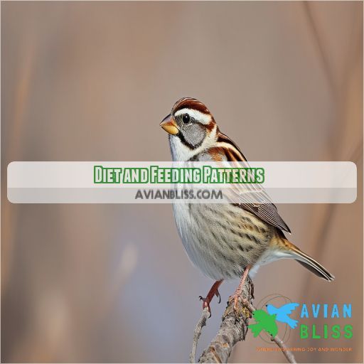 Diet and Feeding Patterns