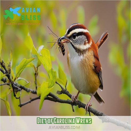 Diet of Carolina Wrens