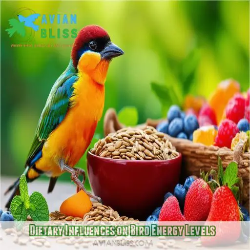 Dietary Influences on Bird Energy Levels