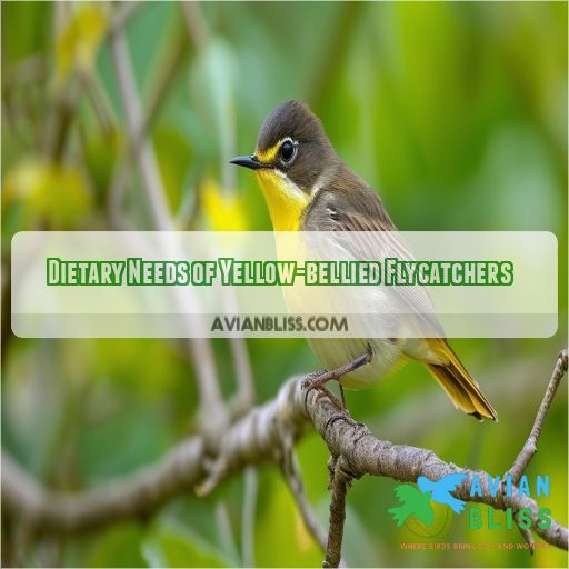 Dietary Needs of Yellow-bellied Flycatchers