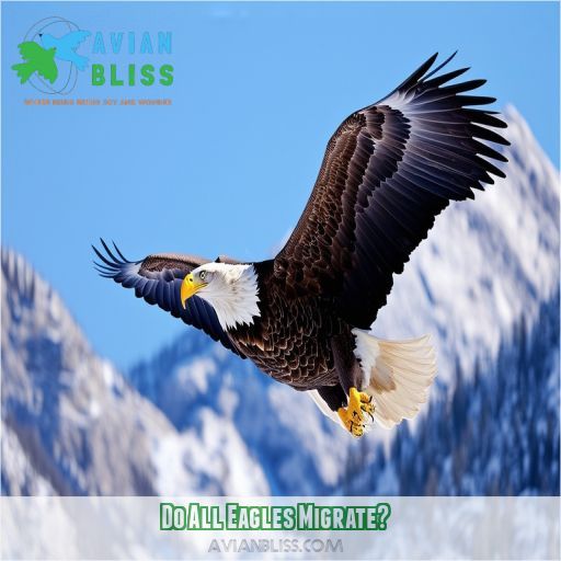 Do All Eagles Migrate